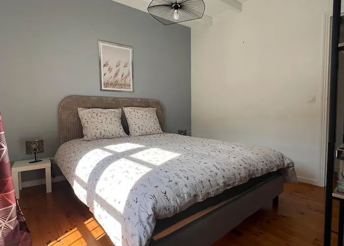 Au Coeur D'albi Apartmán *